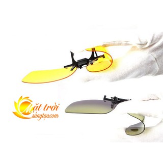 Mắt kính phân cực BERTHA