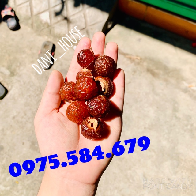 [1KG] BỒ HÒN LOẠI 1-ĐÃ TÁCH HẠT-GIÀ- KHÔNG MỐC-HÀNG XUẤT KHẨU | BigBuy360 - bigbuy360.vn