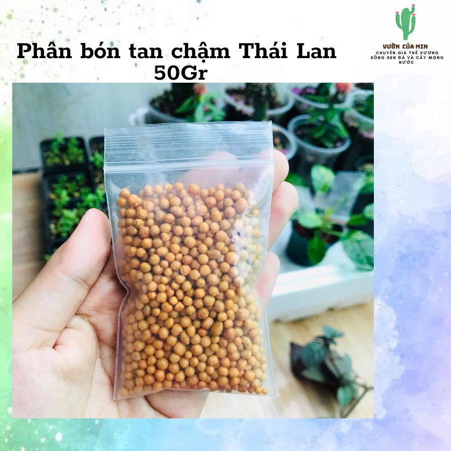 Phân tan chậm Thái 14-14-14 chuyên dùng cho sen đá, xương rồng...