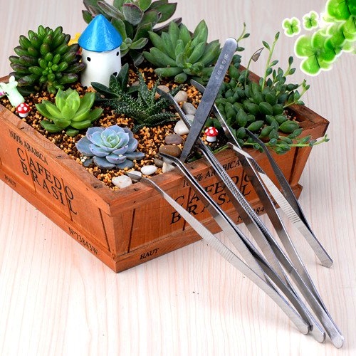 Nhíp trồng cây, dụng cụ trang trí tiểu cảnh làm vườn, cây trồng thủy sinh bằng thép không gỉ