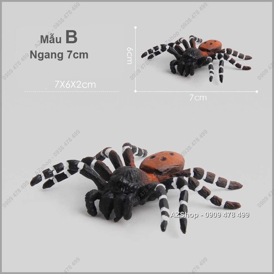 Mô Hình Loài Nhện - Thế Giới Động Vật -  7709