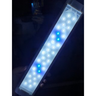 Đèn LED Q-400 4 Hàng Trắng Xanh cho hồ cá thủy sinh 40Cm (Hàng Công Ty)