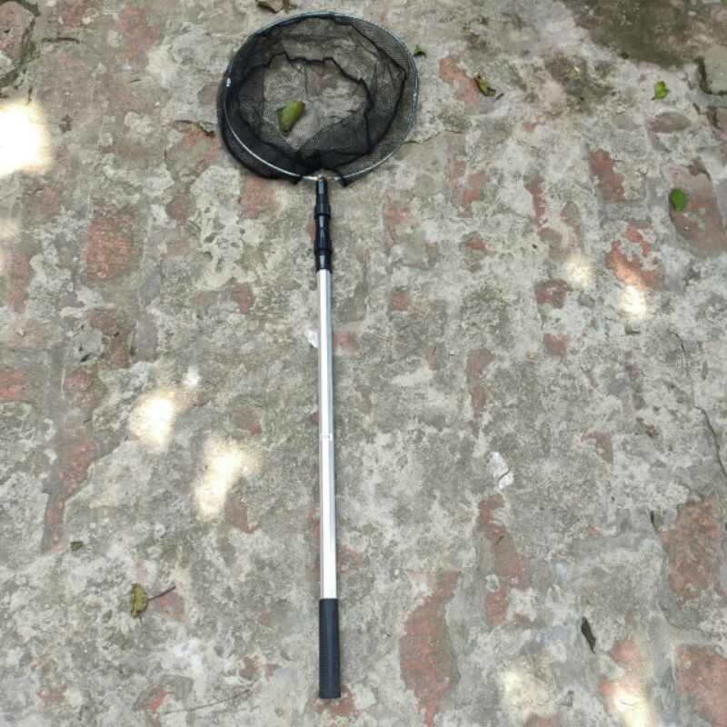 Vợt câu cá inox 1m7 và 2m1