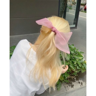 kẹp nơ điệu đà