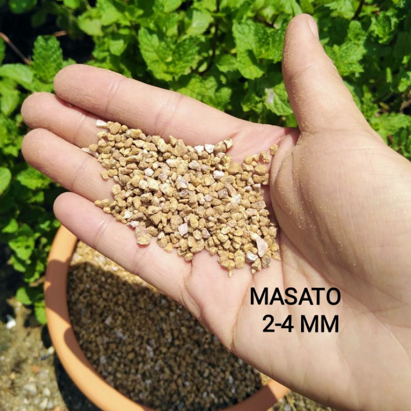 Đá Masato Rãi Mặt Sen Đá Túi 500g