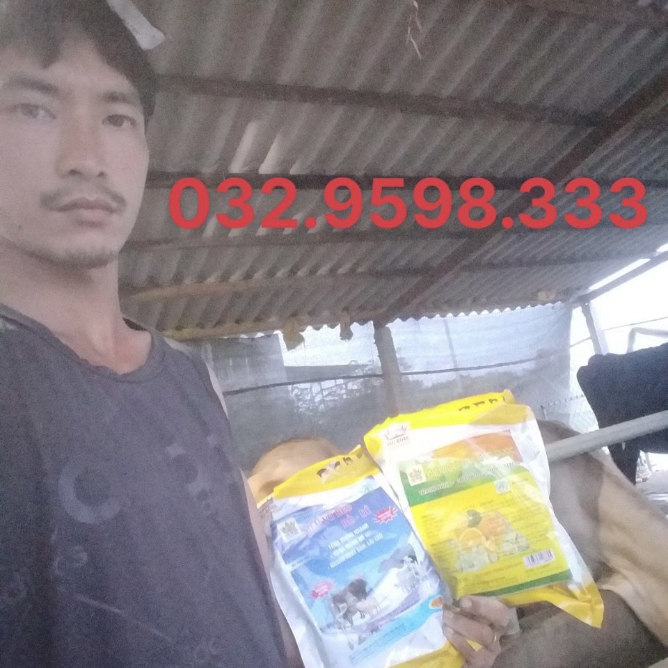 Siêu Vỗ Béo Trâu Bò Dê. Hàng Công Ty