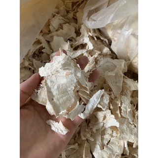 Sâm tố nữ Khô _Nguyên Miếng