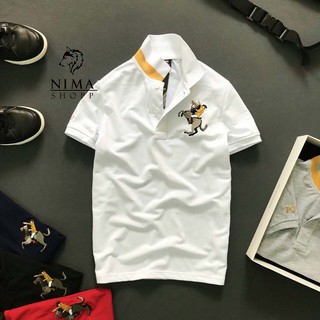 Áo thun nam tay ngắn, có cổ, thêu logo cực đẹp NMP046