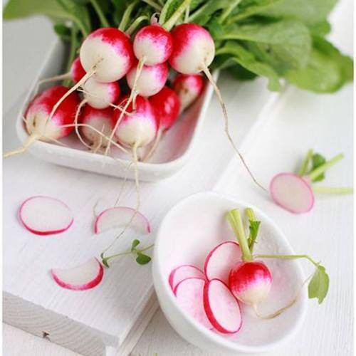 HẠT GIỐNG CỦ CẢI ĐỎ 2 MÀU CHERRY F1