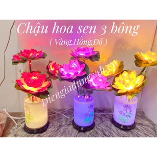 Chậu bông hoa sen điện đèn led 3 bông trang trí nhà cửa shop hoa