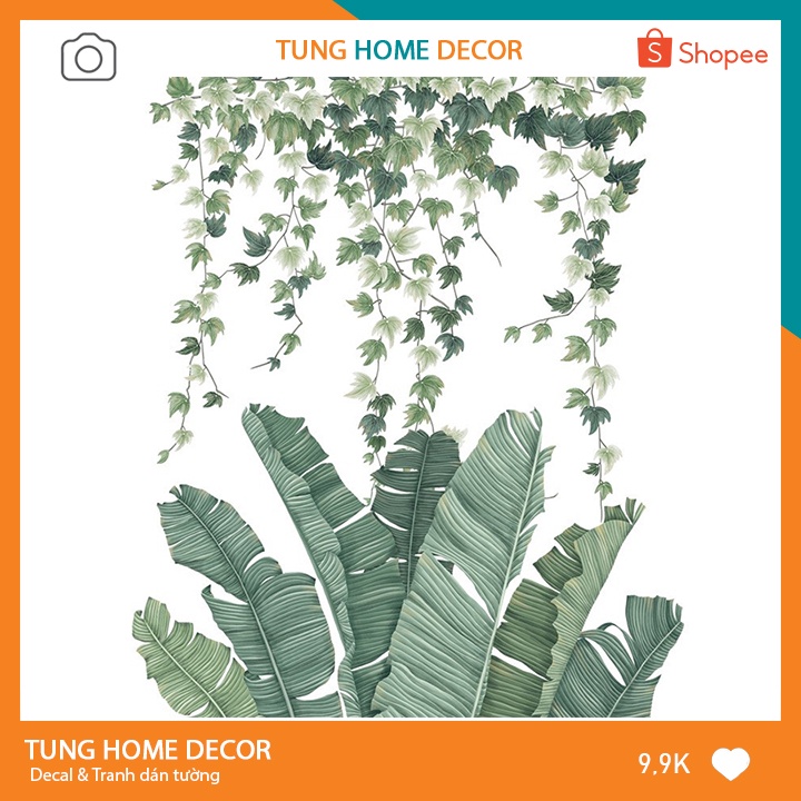 Decal dán tường hàn quốc trang trí phòng ngủ TUNG DECOR QR05 Lá Chuối Thường Xuân