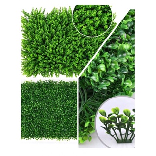 Xã kho cỏ treo tường | cỏ trang trí | cỏ tai chuột và rau cải xoong