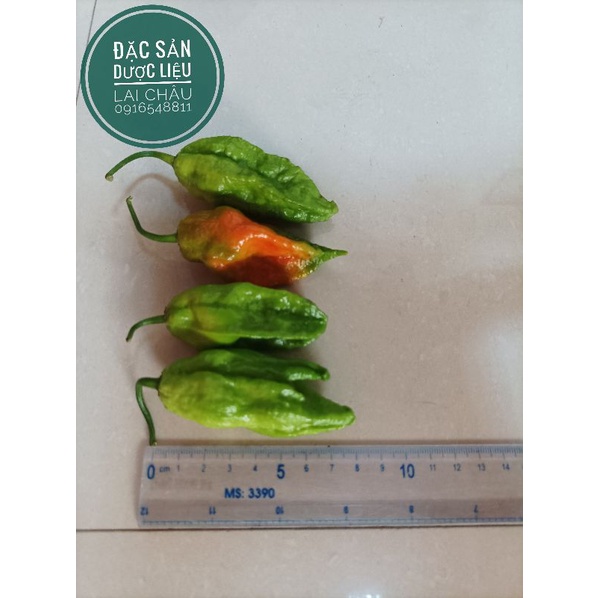 Ớt trung đoàn Mường Tè Lai Châu, ớt cay nhất Việt Nam