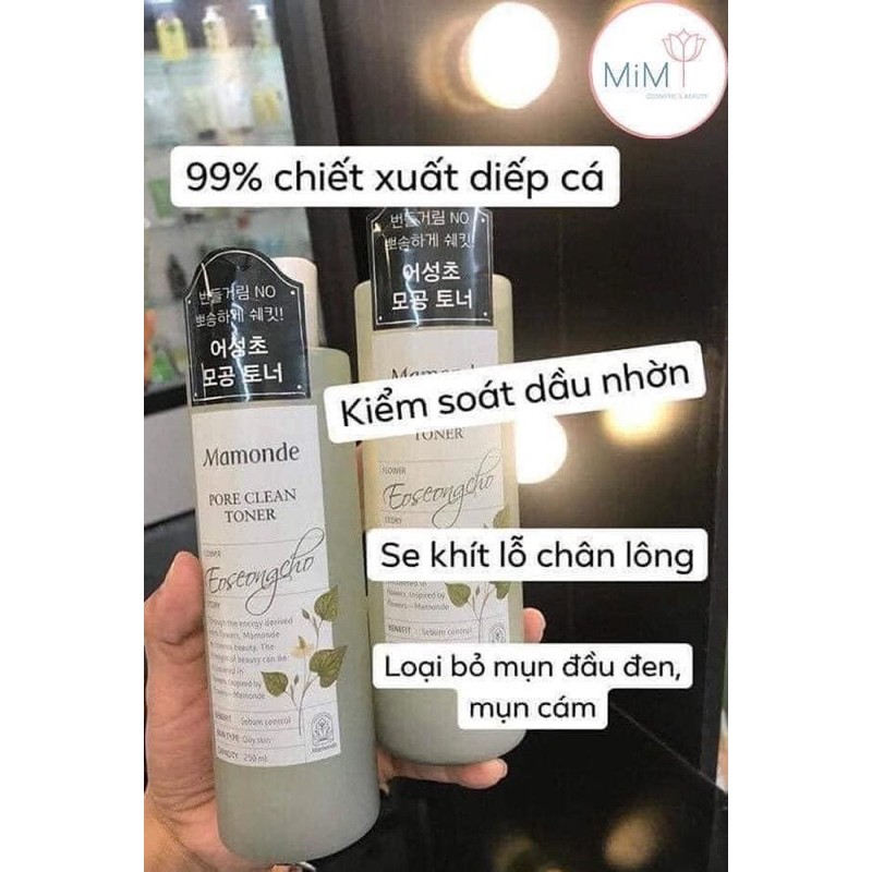 Tone Mamonde diếp cá