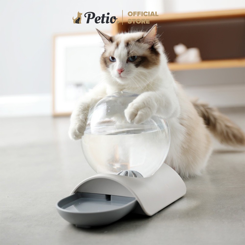 Bình Nước Tự Động Cho Mèo Petio, Bình Nước Cho Chó Mèo Có Lọc 2.8L