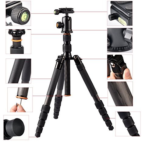 Tripod Carbon C254T