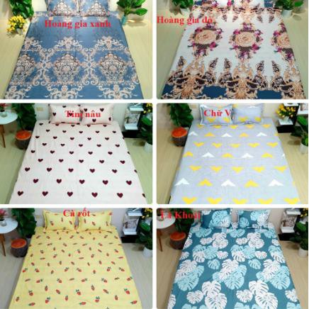 Xả hàng tết Bộ ga gối 2m2 cotton poly ava 2M2221