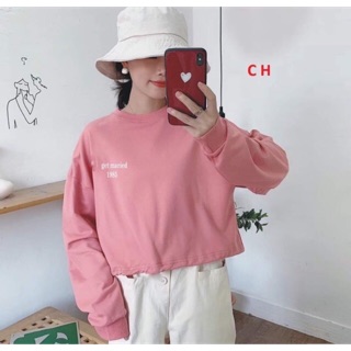 Áo croptop Chun Gấu Tay Dài