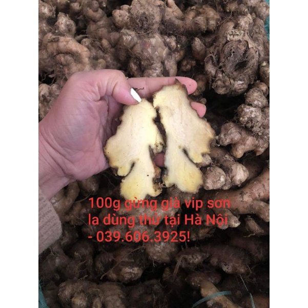 100g Gừng Già vip Sơn La dùng thử