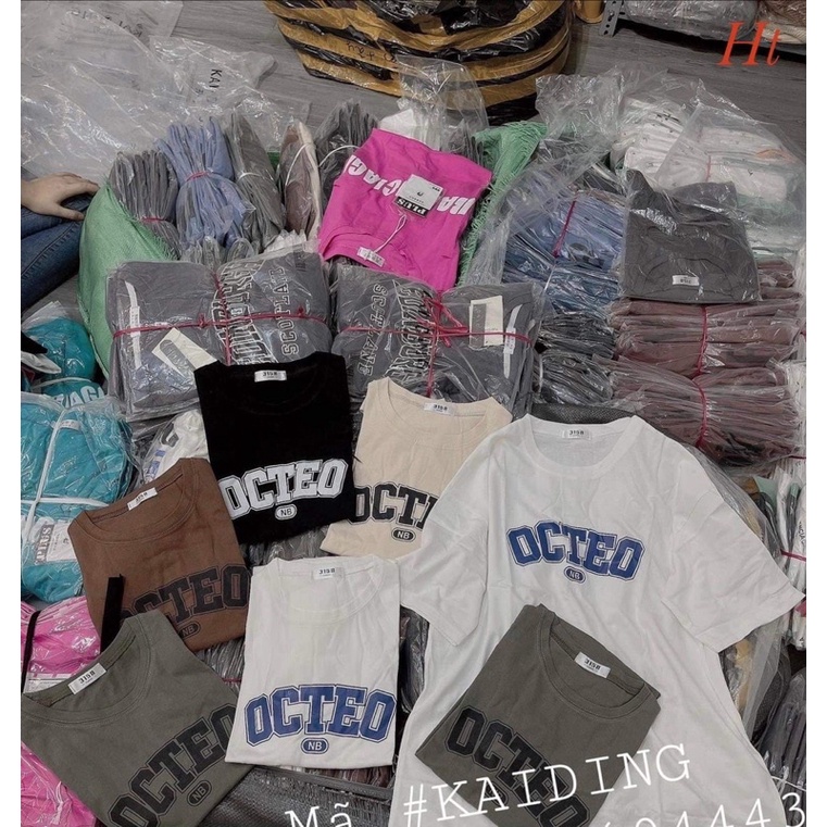 Áo phông chữ Octeo HT11