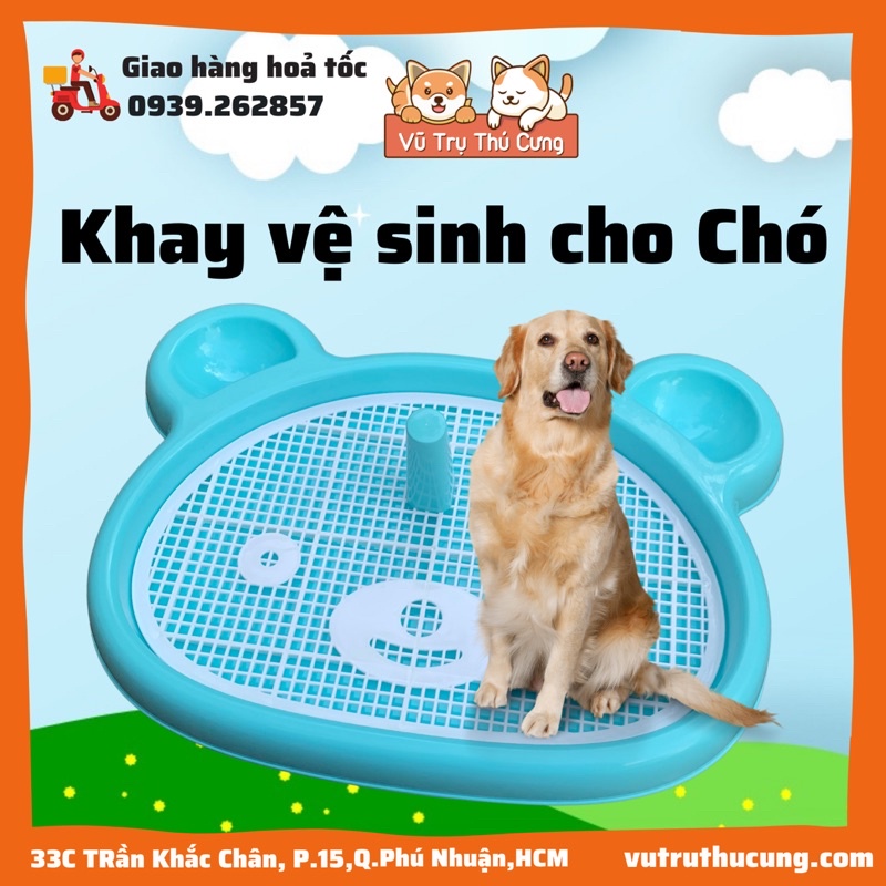Khay vệ sinh cho Chó size lớn, hình mặt gấu - 47x63x5.5cm, Khay vệ sinh huấn luyện cho thú cưng