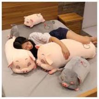 Gấu bông heo mắt hip size đại , heo ngủ gật mắt hồng dễ thương
