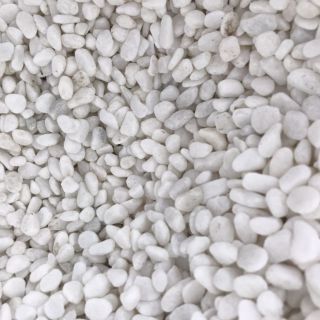 Đá Sỏi Trang Trí Bể Cá