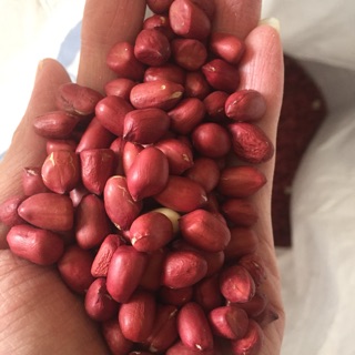 Combo 5kg lạc đỏ