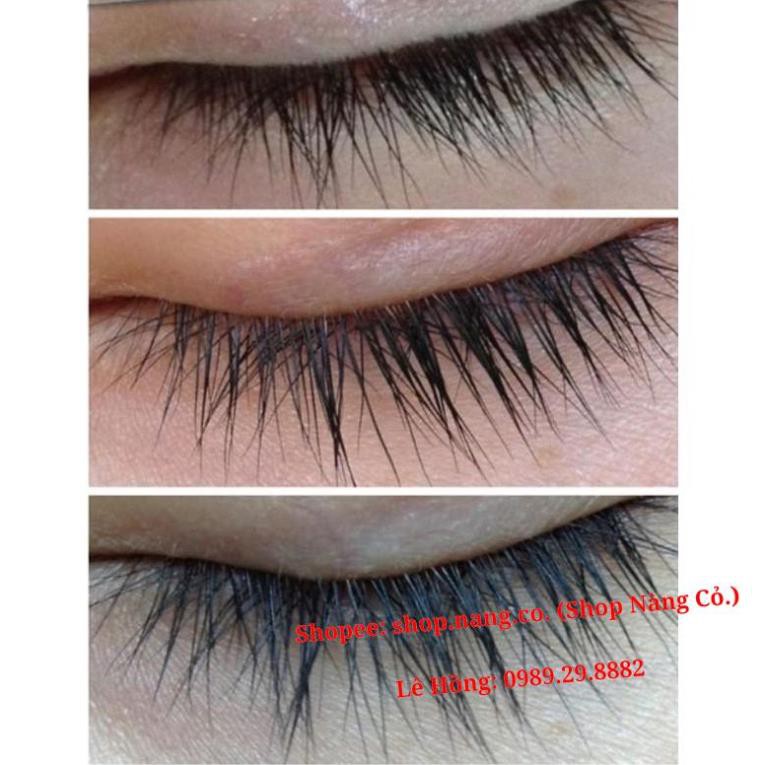 [100% Chính Hãng] Tinh Dầu Dài mi Marroc, rậm lông mày, Serum Dài mi Marroc, Kích thích mọc lông mi, lông mày, Dưỡng dài | BigBuy360 - bigbuy360.vn