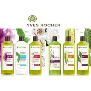 Dầu gội yves rocher