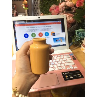 Bình gốm vintage