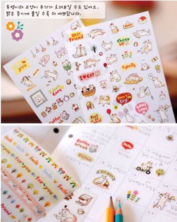 Bộ 6 tấm sticker con mèo con