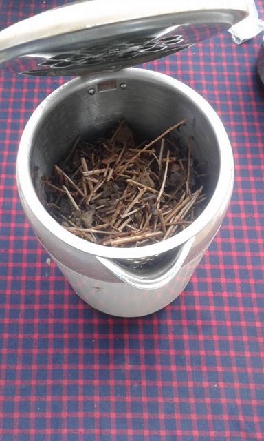 Cà gai leo Hoà Bình hỗ trợ điều trị về gan (có chứng nhận ATTP) | BigBuy360 - bigbuy360.vn