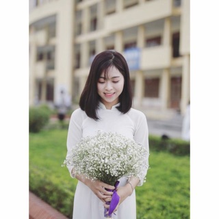 Hoa baby trắng