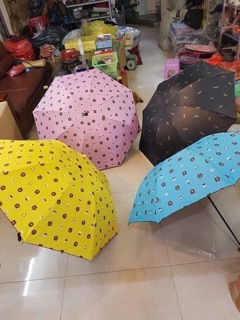 Ô gấu Brown
