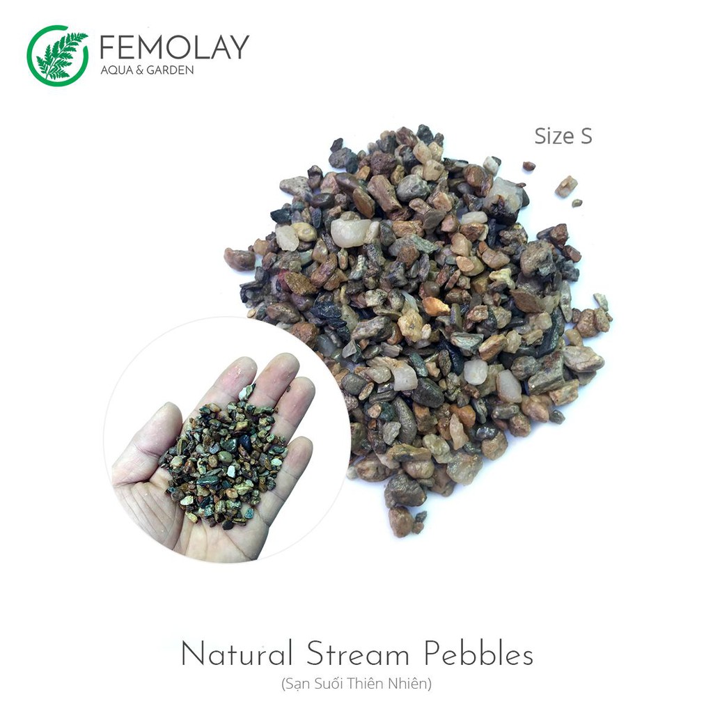 Sạn suối/sỏi suối thiên nhiên Femolay size S