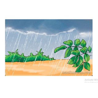 Flashcard Lớp 2 ABC English