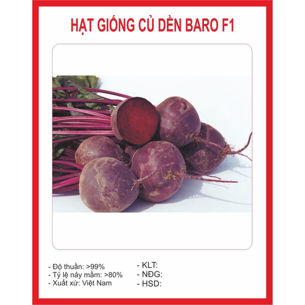 Hạt giống CỦ DỀN (Đỏ)