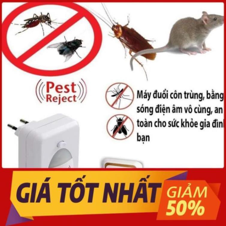 Máy đuổi côn trùng Pest Reject (loại tốt)