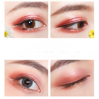 BẢNG PHẤN MẮT MAFFICK DAISY HOA CÚC 9 Ô
