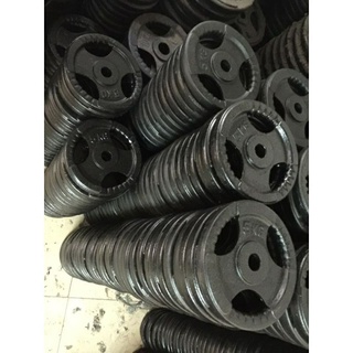 tạ gang đĩa 5kg