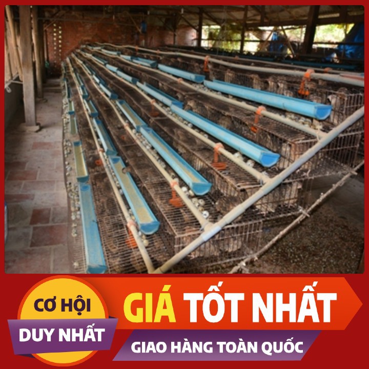 LỒNG NUÔI CHIM CÚT-CHUỒNG NUÔI CHIM CÚT CÔNG NGHIỆP-LỒNG NUÔI CÚT ĐẺ CÔNG NGHIỆP