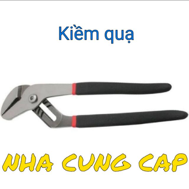 (GIÁ HỦY DIỆT) KIỀM MỎ QUẠ