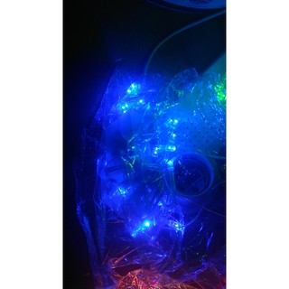 Đèn Led Dây Chớp Nháy - Dây 5m