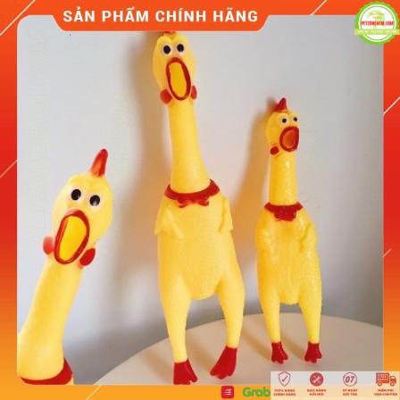 Đồ chơi tương tác chó mèo 🌺 FREESHIP 🌺 đồ chơi Con gà phát âm thanh chút chít có 3 size tương tác với thú cưng