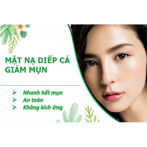 Bột Diếp Cá Sấy lạnh nguyên chất Organic - Handmade - B2.007