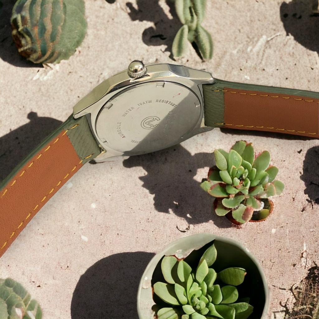 Đồng hồ nam thương hiệu Aureole Thụy Sĩ, phong cách năng động 95%