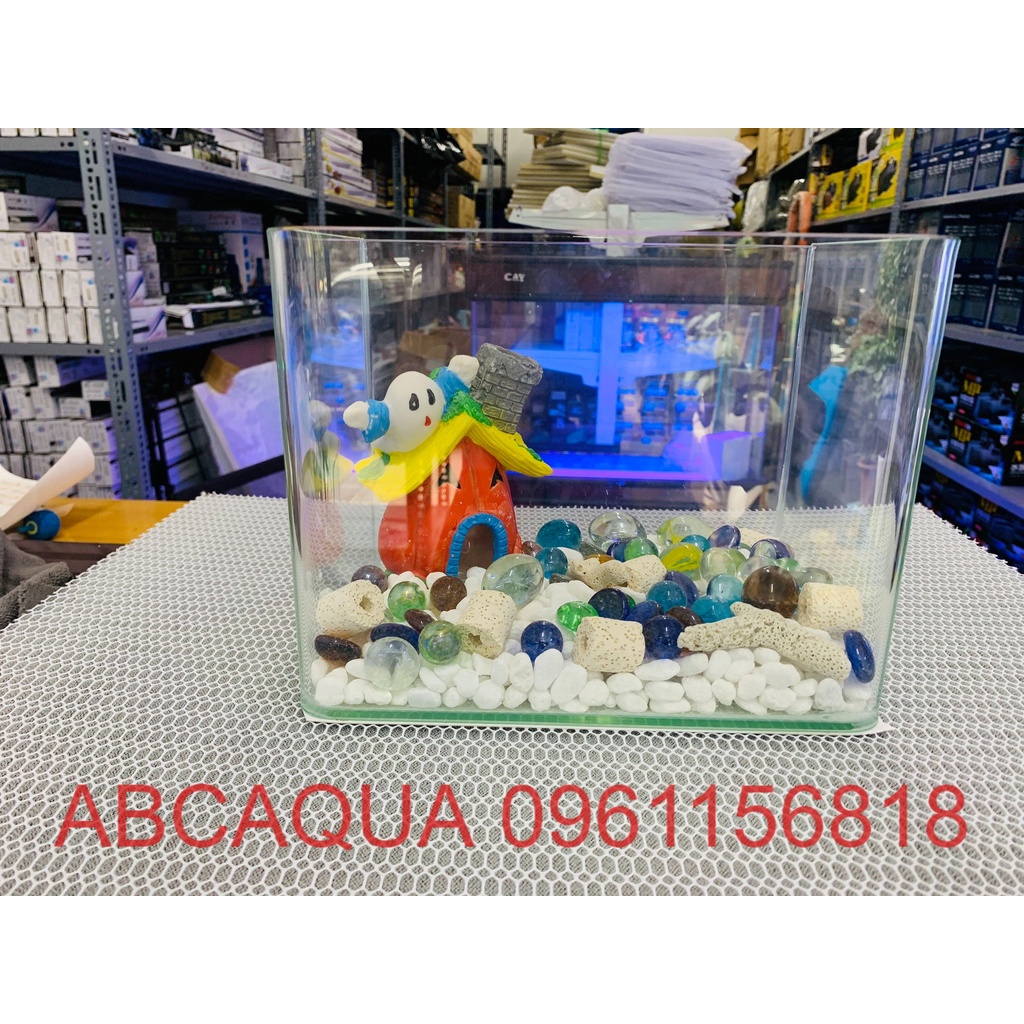 Bể cá cảnh thủy sinh size mini