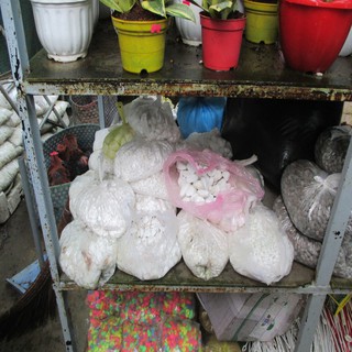 sỏi trắng nhỏ 1kg