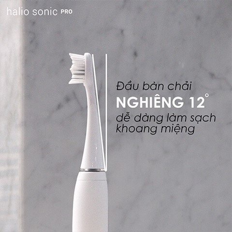 Set 2 Đầu Bàn Chải Điện Halio Sonic Whitening Electric Toothbrush Refill Head